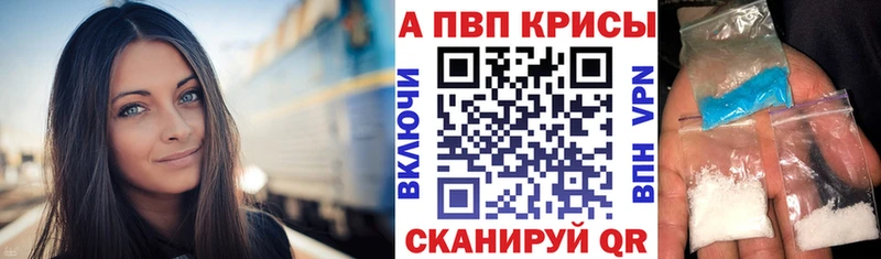 Альфа ПВП СК КРИС  Искитим 