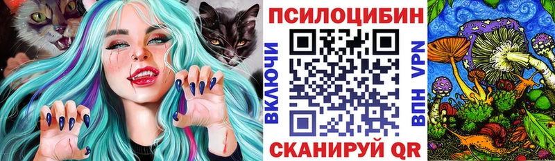 OMG как зайти  Искитим  маркетплейс какой сайт  наркота  Галлюциногенные грибы Psilocybine cubensis 