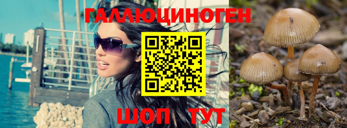 Искитим  Псилоцибиновые грибы MAGIC MUSHROOMS  Галлюциногенные грибы MAGIC MUSHROOMS  Вход с VPN 