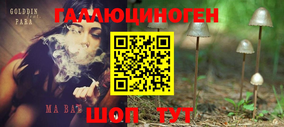 Галлюциногенные грибы прущие грибы Искитим
